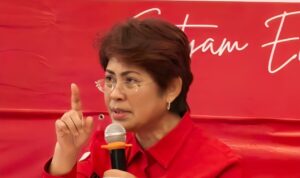 Penyelundupan WNA China