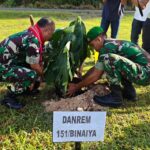 Danrem Binaya