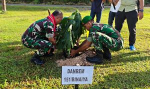Danrem Binaya