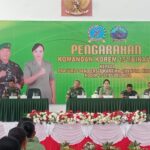 Danrem Binaya