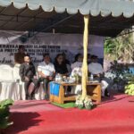 Oplus_16908288